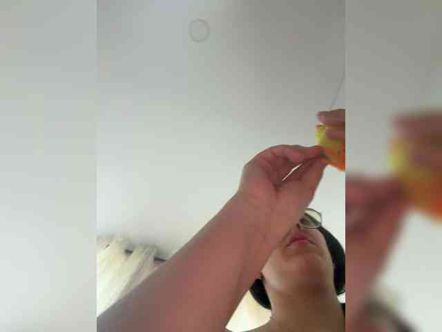 EvanShell1 webcam