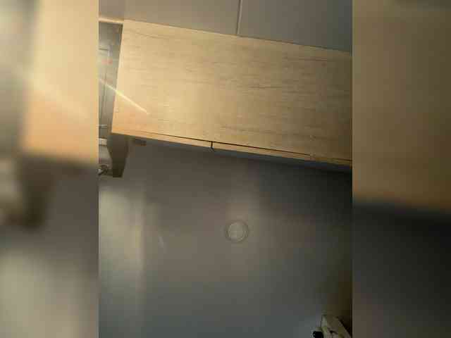 EvanShell1 webcam