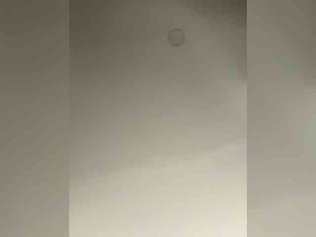 EvanShell1 webcam