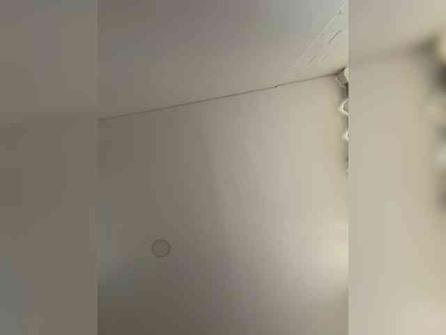 EvanShell1 webcam