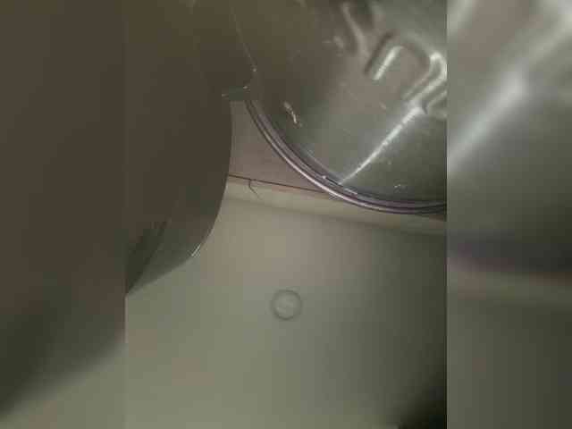 EvanShell1 webcam