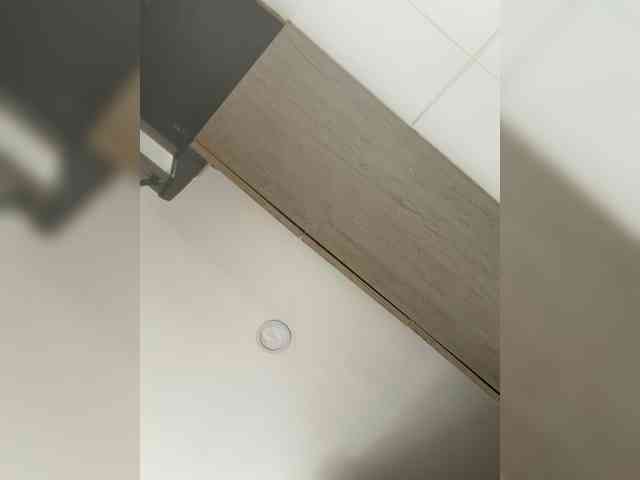 EvanShell1 webcam
