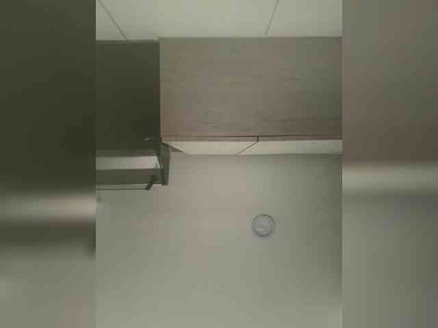 EvanShell1 webcam