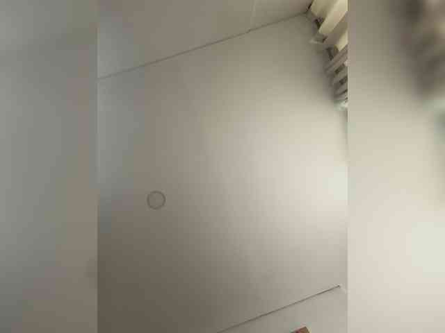 EvanShell1 webcam