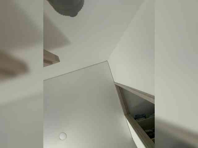 EvanShell1 webcam