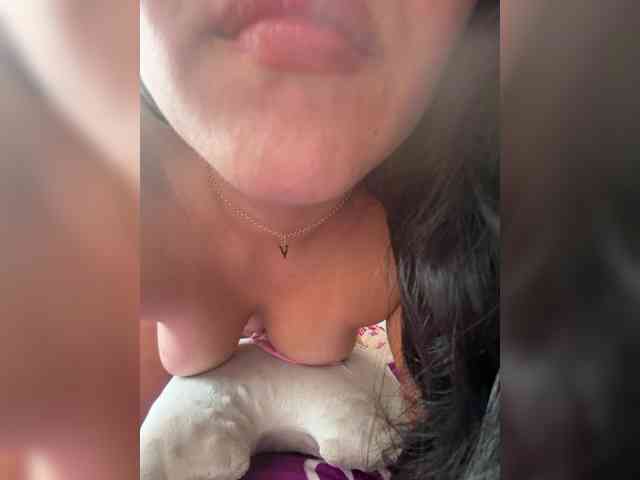 Modelo: EvanShell1