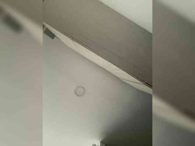EvanShell1 webcam