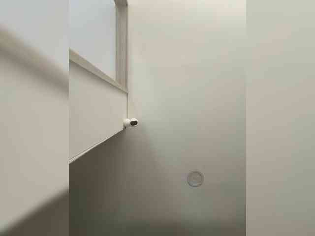 EvanShell1 webcam