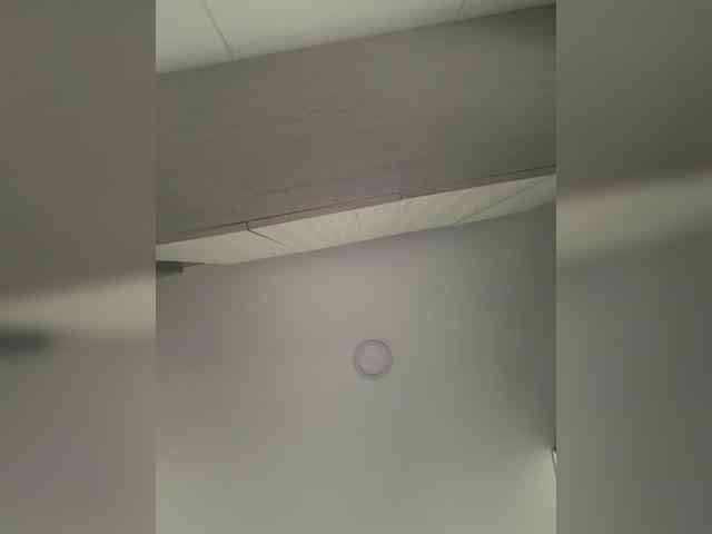 EvanShell1 webcam