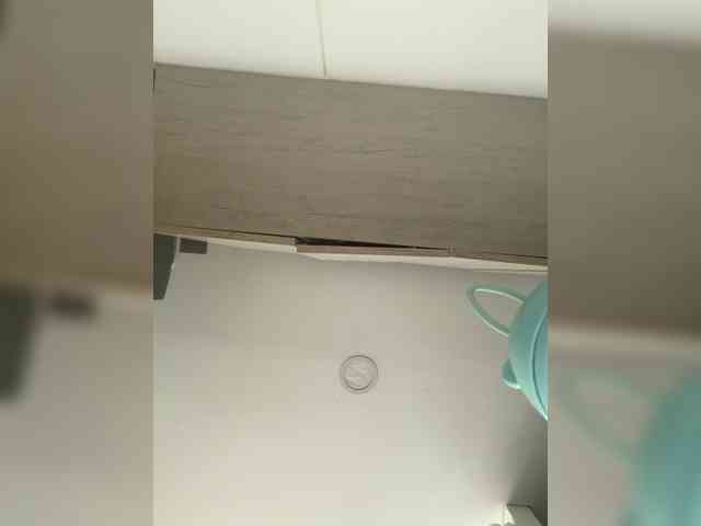 EvanShell1 webcam