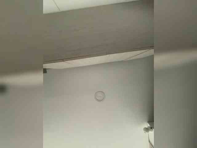 EvanShell1 webcam