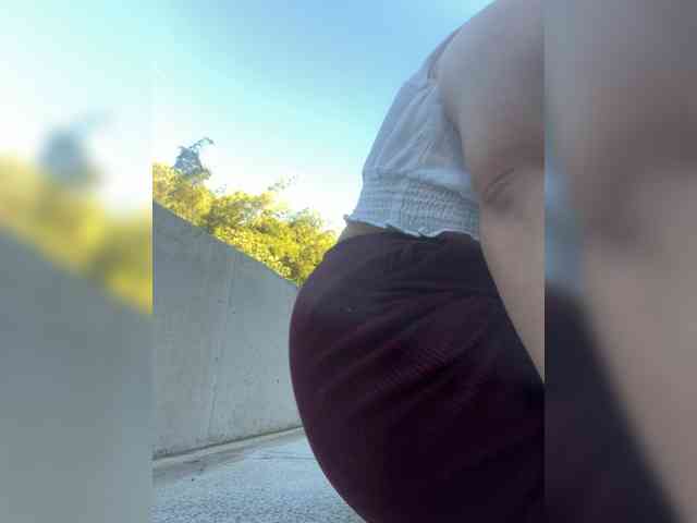 EvanShell1 webcam