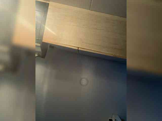 EvanShell1 webcam