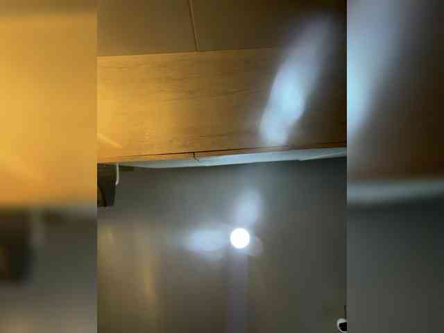 EvanShell1 webcam