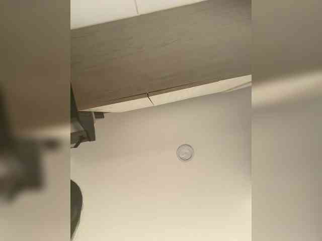 EvanShell1 webcam