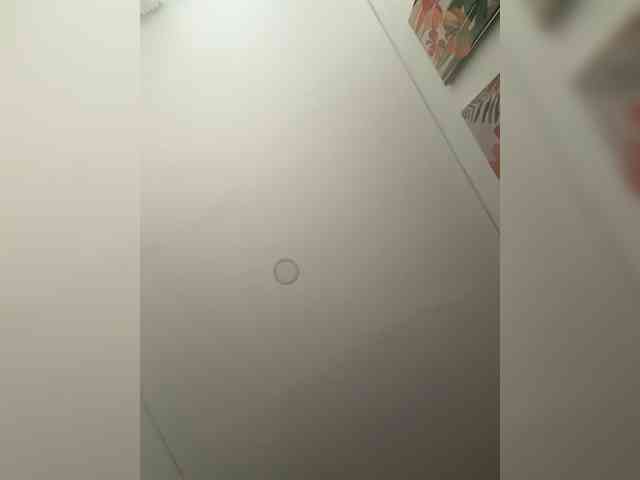 EvanShell1 webcam