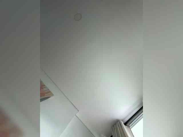 EvanShell1 webcam