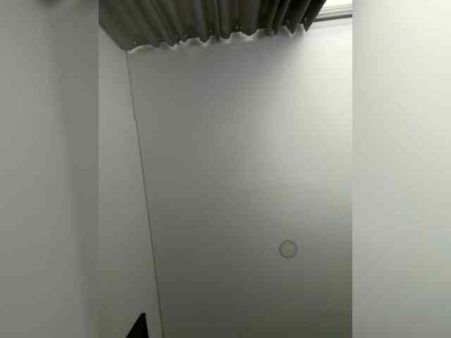 EvanShell1 webcam