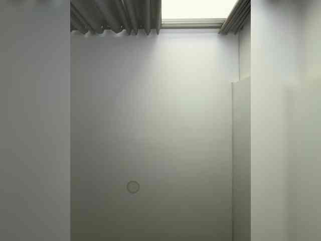 EvanShell1 webcam