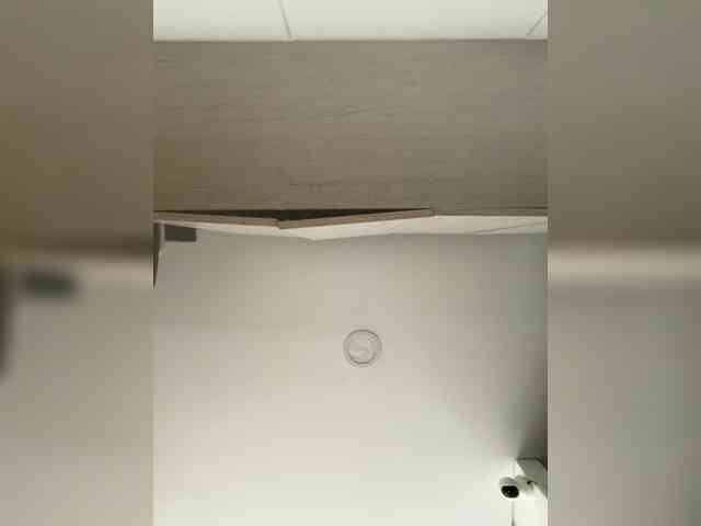EvanShell1 webcam