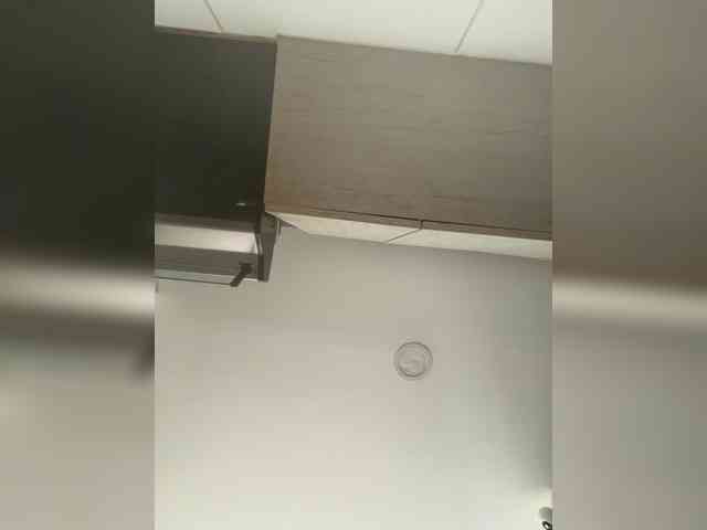 EvanShell1 webcam