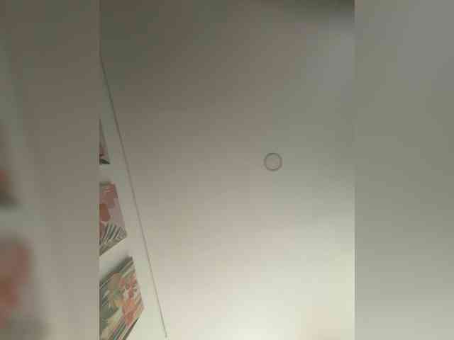 EvanShell1 webcam