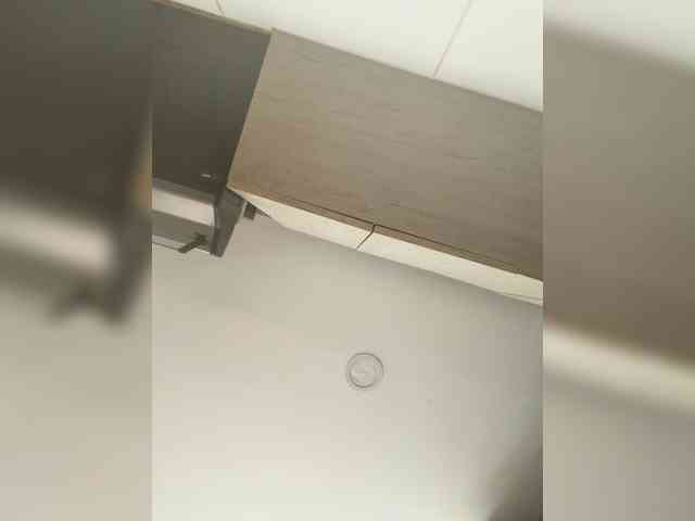EvanShell1 webcam