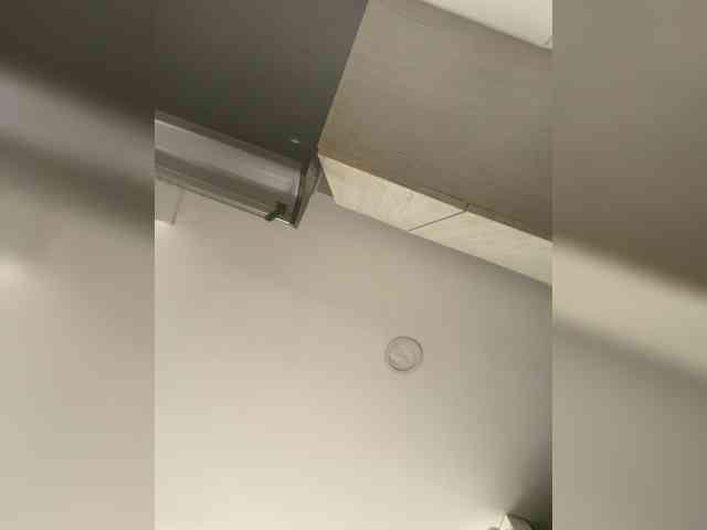 EvanShell1 webcam