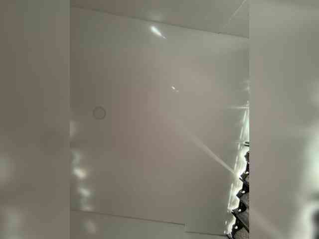 EvanShell1 webcam