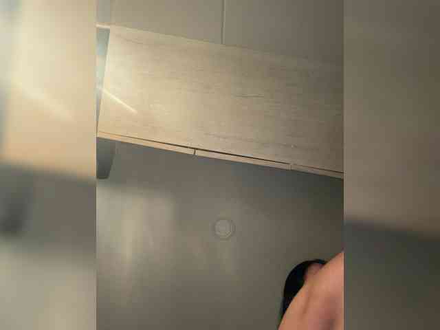 EvanShell1 webcam