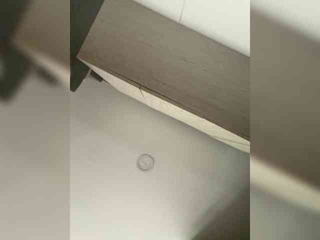 EvanShell1 webcam