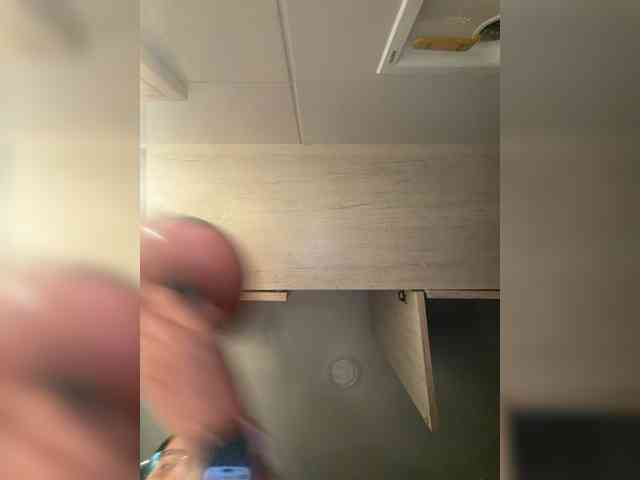 EvanShell1 webcam