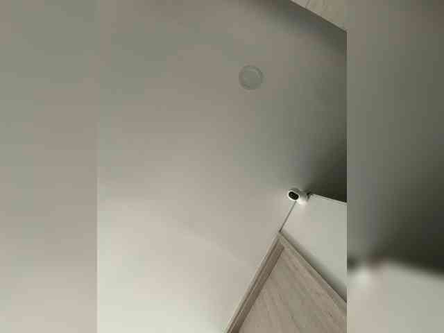EvanShell1 webcam