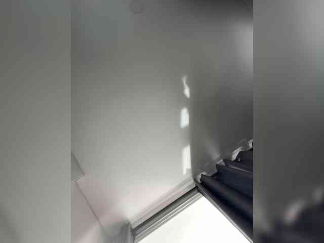 EvanShell1 webcam
