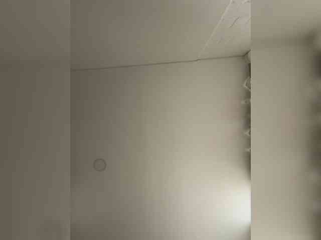 EvanShell1 webcam