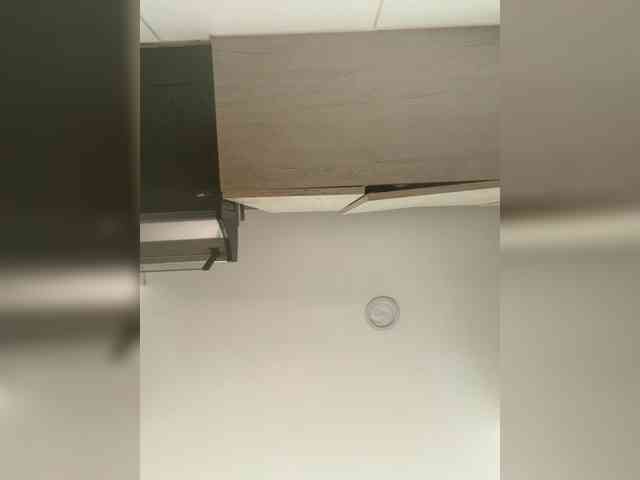 EvanShell1 webcam