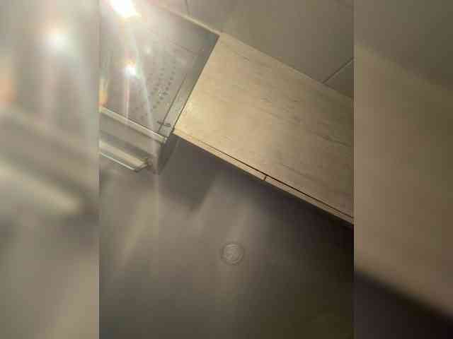 EvanShell1 webcam