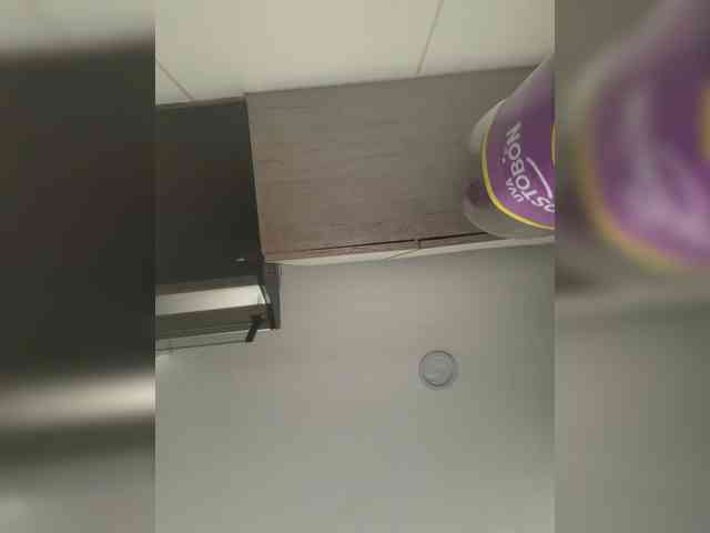 EvanShell1 webcam