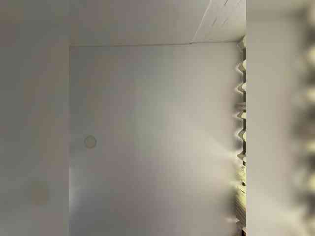 EvanShell1 webcam