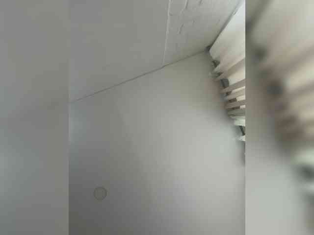 EvanShell1 webcam