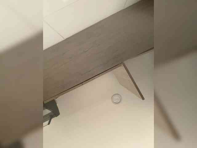 EvanShell1 webcam