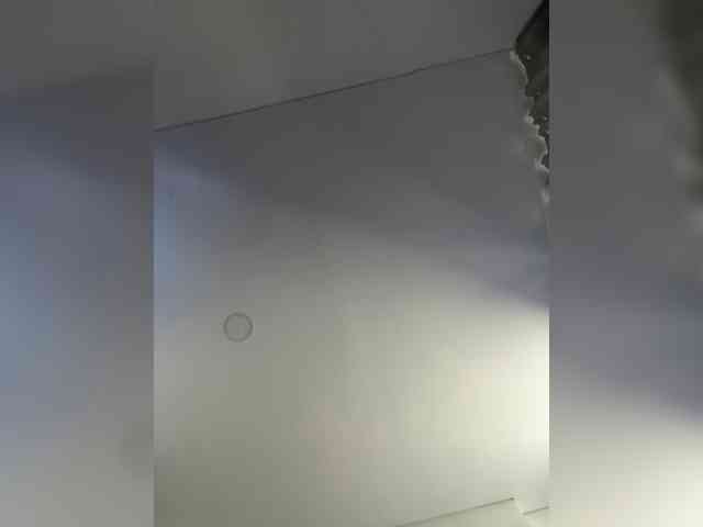 EvanShell1 webcam