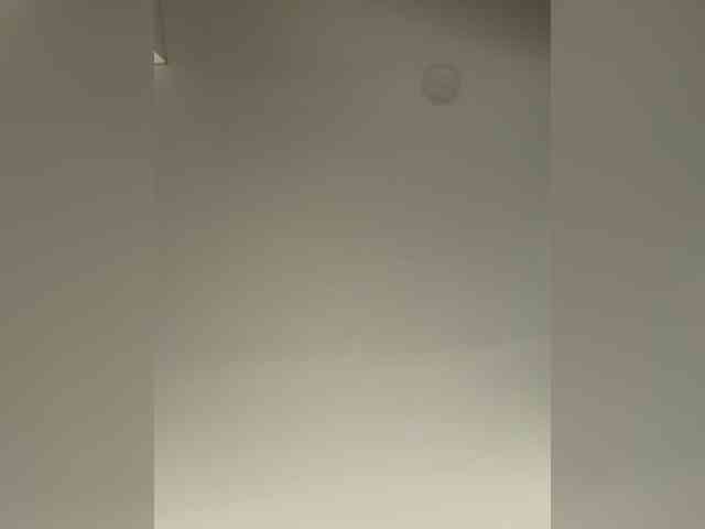 EvanShell1 webcam