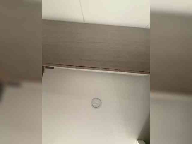 EvanShell1 webcam