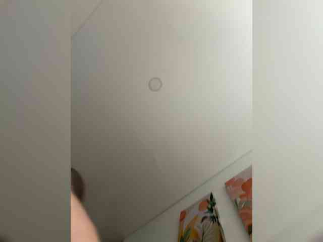 EvanShell1 webcam
