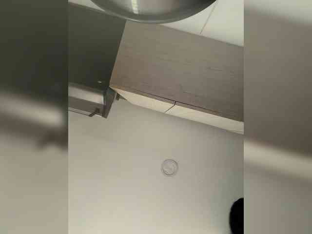 EvanShell1 webcam