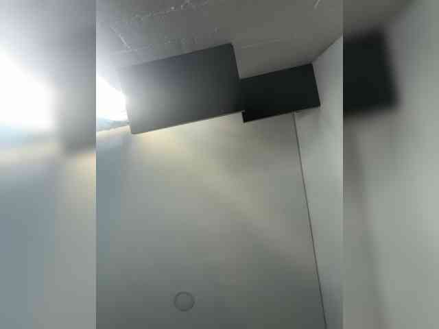 EvanShell1 webcam