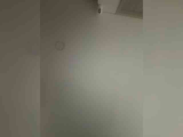 EvanShell1 webcam
