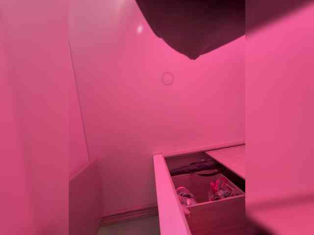 EvanShell1 webcam