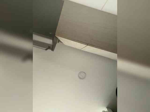 EvanShell1 webcam